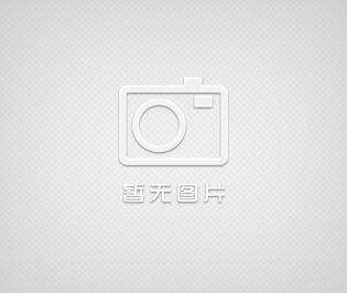 代理美國(guó)FTI插桶泵、磁力泵、化工泵